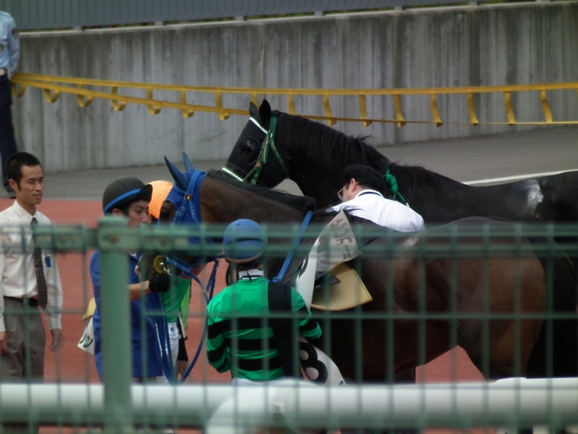 スーパー未勝利レース後２ マリブビーチ
