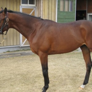 2010年4月ノーザンファーム空港にて