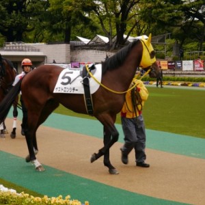 16戦目パドックにて