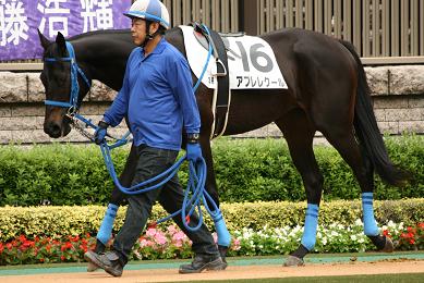 東京３Ｒ 新馬戦 アプレレクール