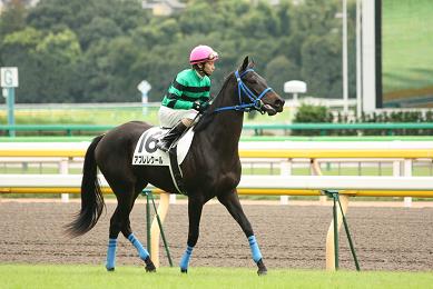 東京３Ｒ 新馬戦 アプレレクール