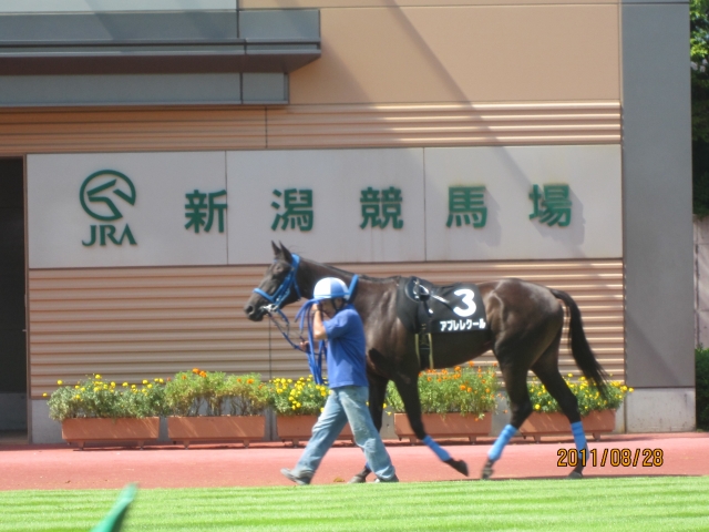 浦佐特別① アプレレクール