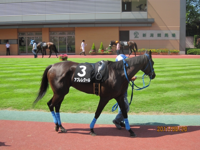 浦佐特別③ アプレレクール