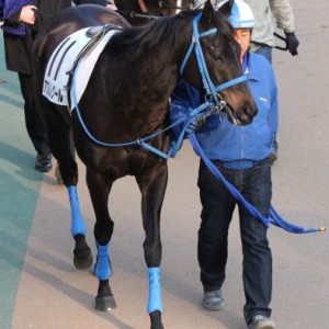 ２月５日　１０００万下