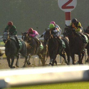 ファンタジーS　その２