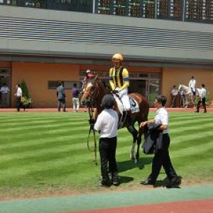 デビュー戦　初騎乗