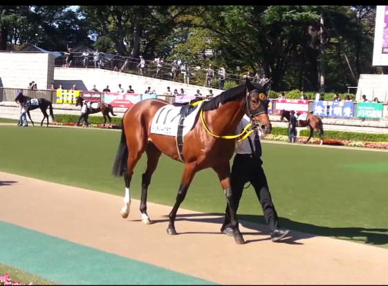 3歳以上500万下 インディーグラブ