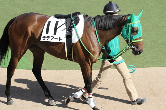 3歳以上1000万下 パドック ラテアート