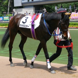 5/22　東京4R　 3歳未勝利　