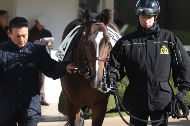 2011.01.10 新馬戦パドック グランマルシェ
