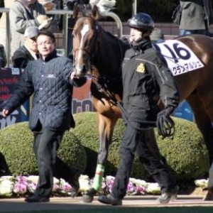 グランマルシェ新馬先パドック