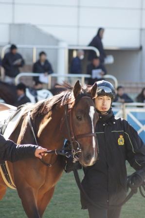 新馬戦パドック グランマルシェ