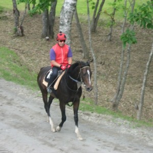 2010ＢＲＦツアー公開調教