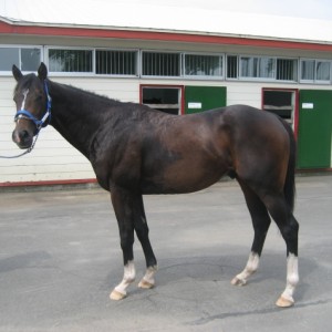 2010ＢＲＦツアー