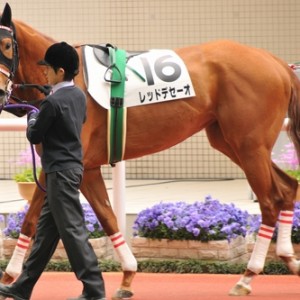2011/04/03　3歳未勝利　13着