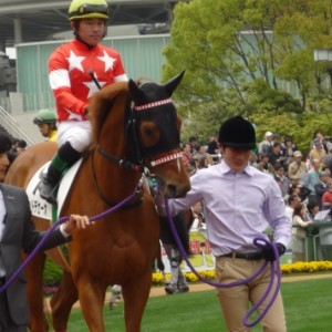 4/30　京都５R　芝1800牝　４着時のパドック