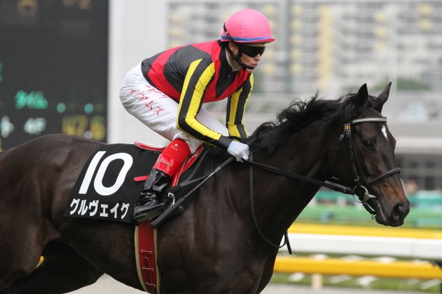 ホンコンジョッキークラブトロフィー 返し馬 グルヴェイグ