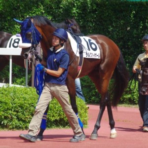 20011年8月14日新潟２R　3歳未勝利