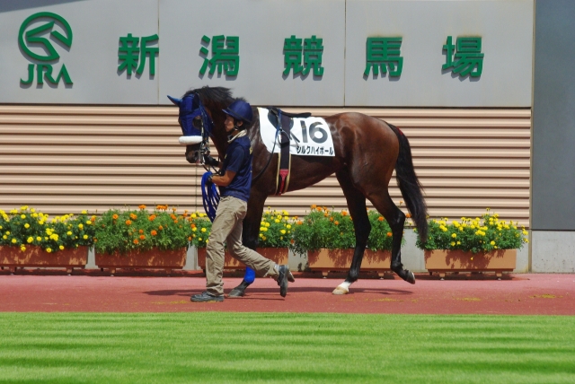 2011年8月14日新潟２R　3歳未勝利 シルクハイボール