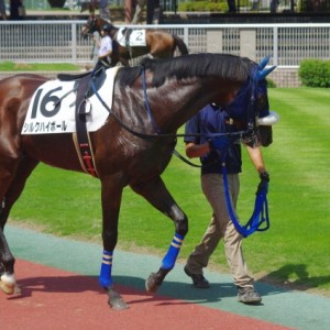 2011年8月14日新潟２R　3歳未勝利