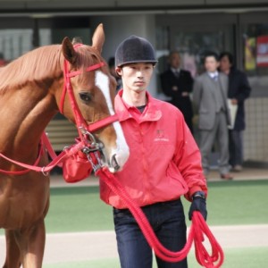 新馬戦