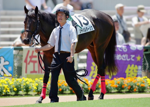 3歳　未勝利　ダート1800 ジャバルターリク