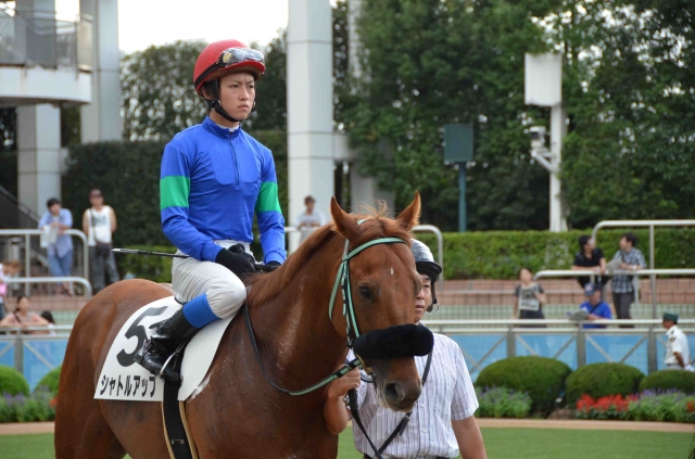 2013.09.15　中山競馬場　12Ｒ500万下 シャトルアップ