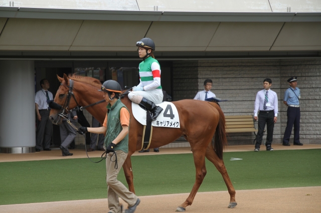 未勝利戦パドック キャリアメイク