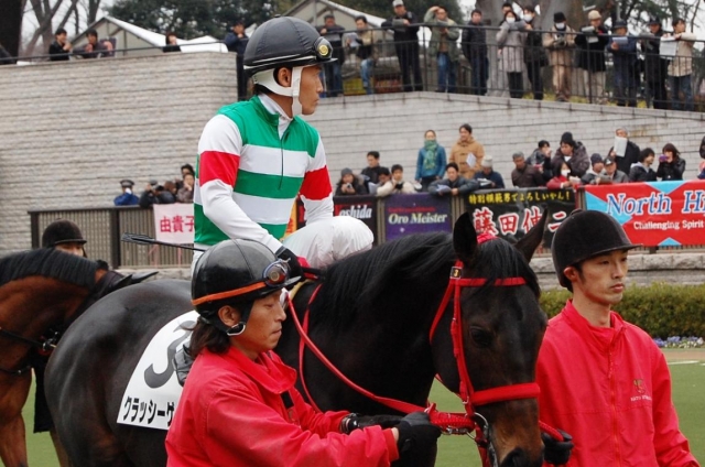 新馬戦 クラッシーゲイト