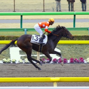 2011年2月19日 東京競馬場 第2R 新馬戦