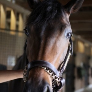 2011年5月28日　ミホ分場