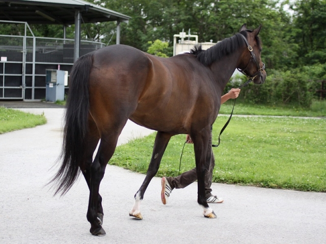 2011年6月18日 ミホ分場  レッドフィオーレ