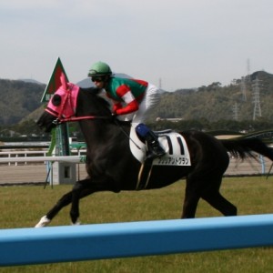 2/26　小倉4R　混合・未勝利　芝1200ｍ