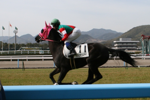 2/26　小倉4R　混合・未勝利　芝1200ｍ ブリリアントクラン
