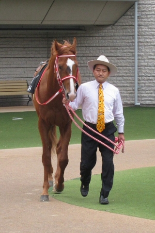 伊勢佐木特別 レックスパレード