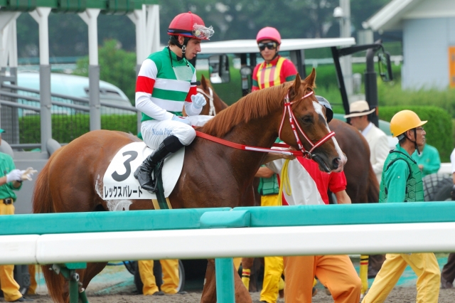 6月19日未勝利戦 レックスパレード