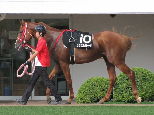 松戸特別パドック レックスパレード
