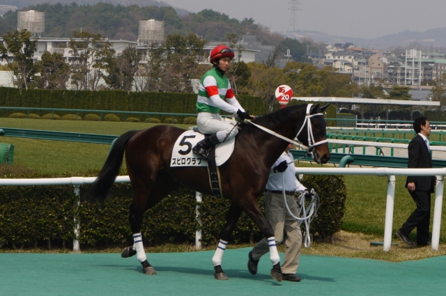 4月２日　阪神競馬３歳未勝利戦 スピログラフ