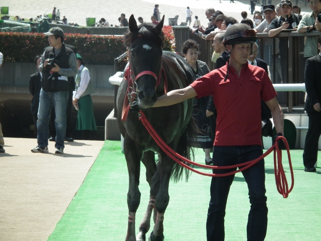 JRA初勝利時　ウィナーズサークルにて チャンピオンブルー
