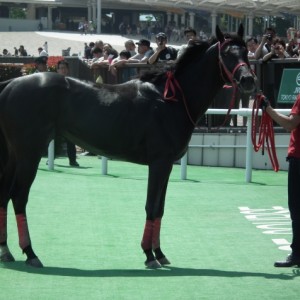 JRA初勝利時　ウィナーズサークルにて