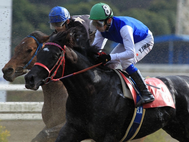 岩田騎手とのコンビ　２着 チャンピオンブルー