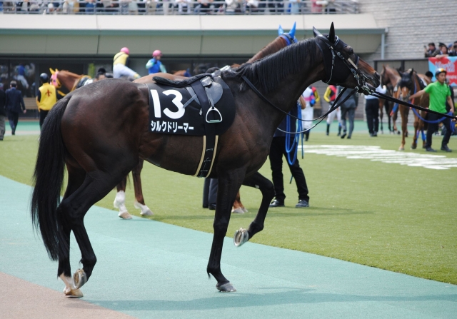 5/4	晩春S(1600万下)　パドック シルクドリーマー