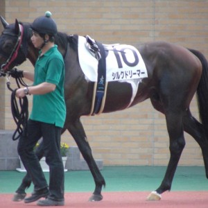 平成24年7月14日中京12Ｒその4