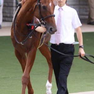 2012.10.6 東京 3歳上500万下 芝1600