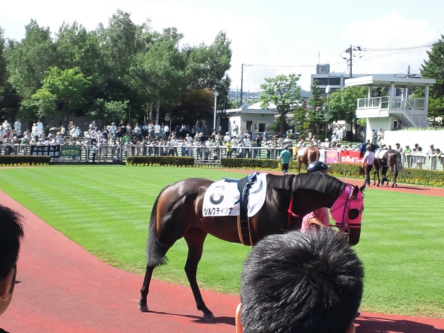 未勝利戦（札幌） シルクティソナ