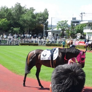 未勝利戦（札幌）