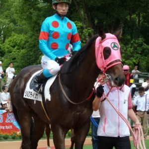 シルクティソナ_2戦目_2歳未勝利戦（京都）