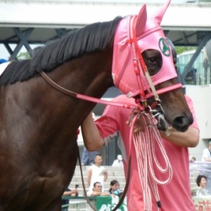 シルクティソナ_4戦目_2歳未勝利戦（京都）