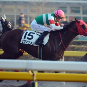 3歳上1000万下