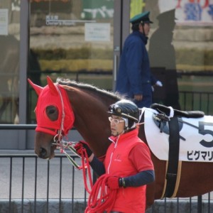 1/28(土)東京7R ダ1600m